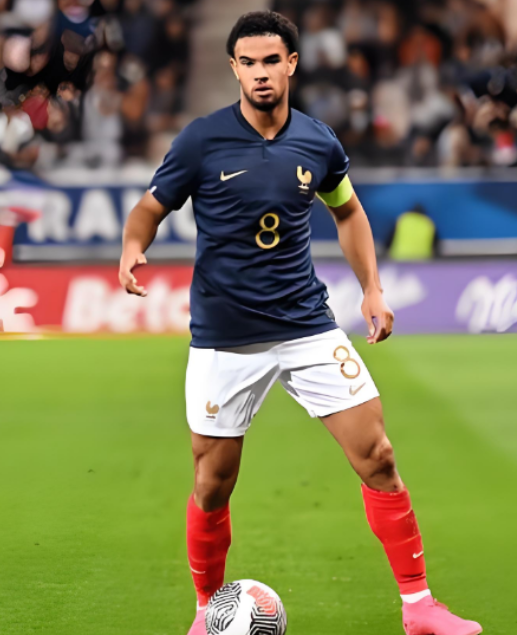 扎伊爾&middot;埃梅里：法國(guó)隊(duì)征程中的奮進(jìn)之聲